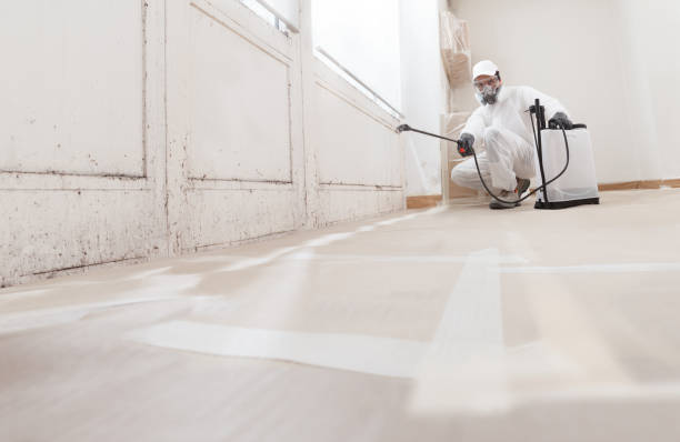 24/7 Emergency Basement Mold Remediation experts in Finksburg, MD