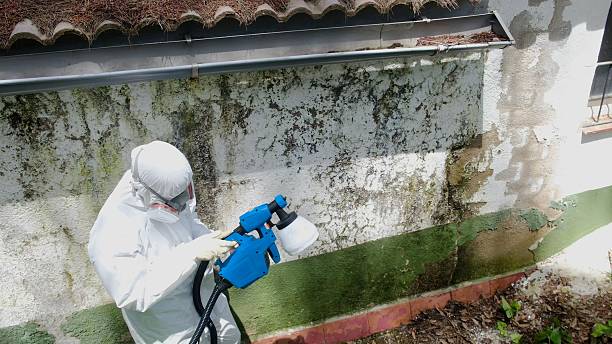 Top rated local Basement Mold Remediation specialists in Finksburg, MD